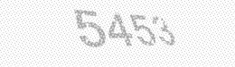 Visual security code — type the characters shown in the image